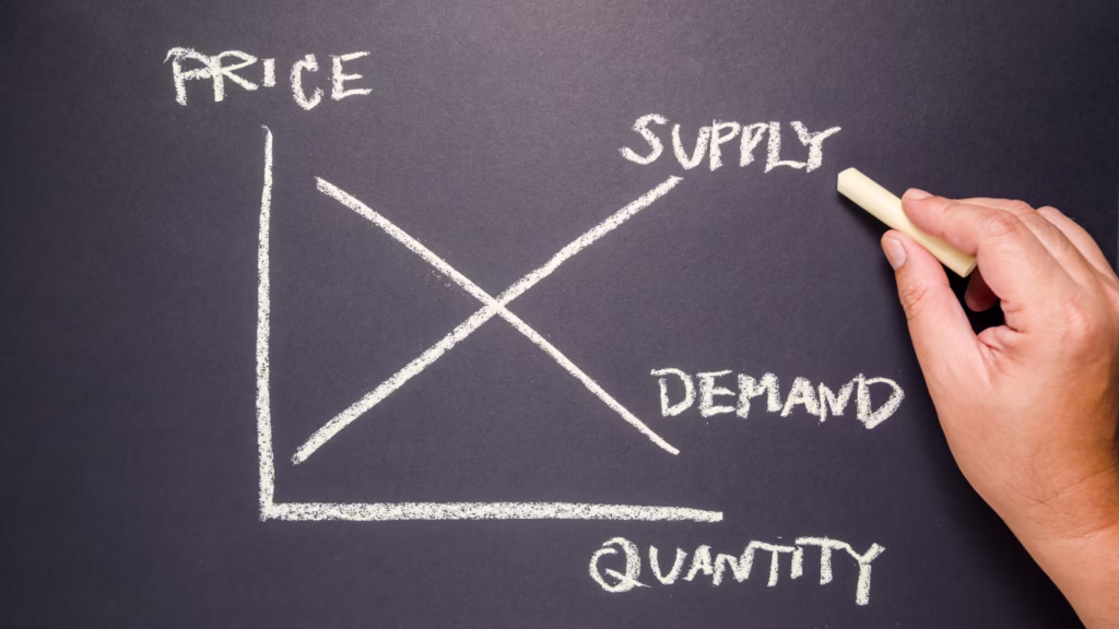feasibility study companies in egypt