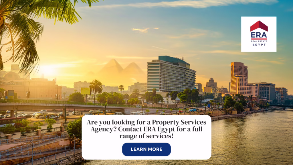 property agency cairo