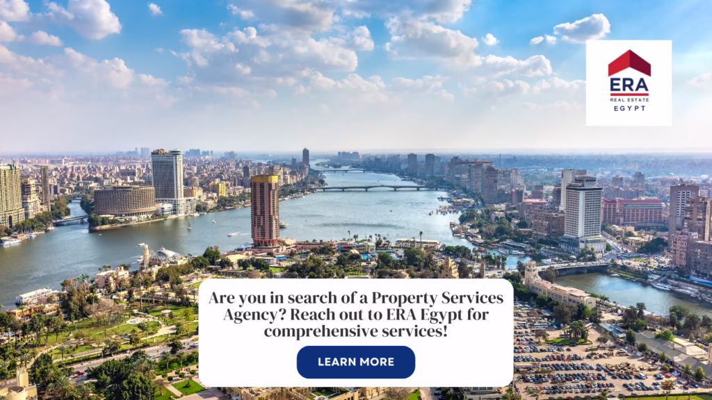property agency cairo