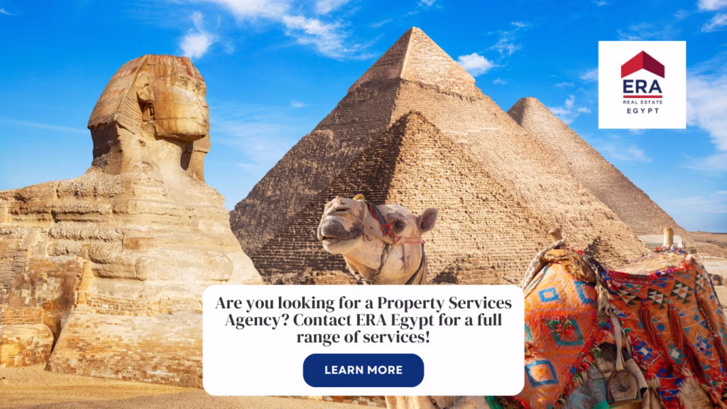 property agency maadi cairo