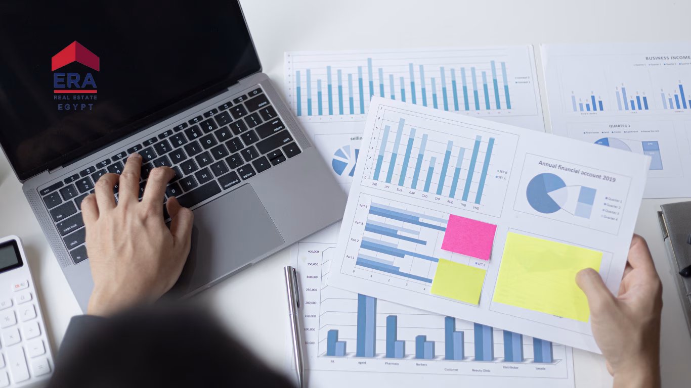 feasibility study companies in egypt