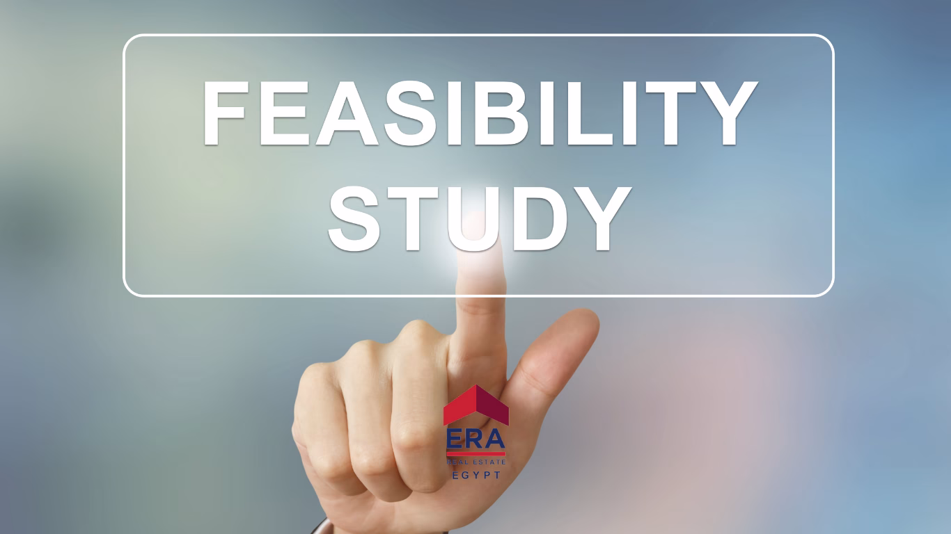 feasibility study