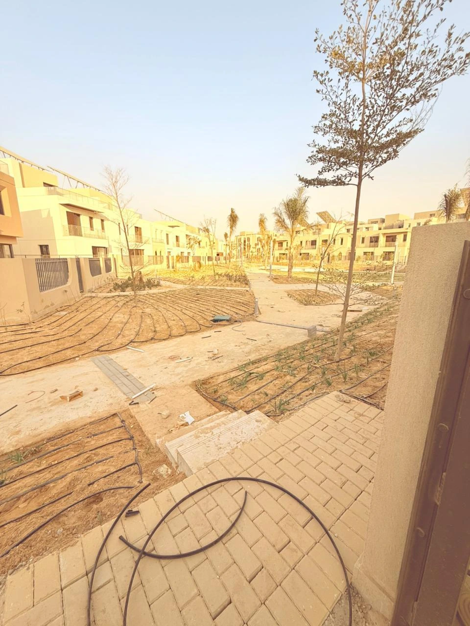 Landscaped street and irrigation system in the VYE by SODIC community, New Zayed